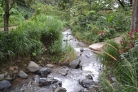 Au milieu de la plantation coule la rivière Rio Jorco Au milieu de la plantation coule la rivière Rio Jorco