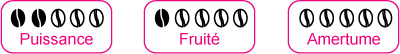 Barre de dégustation du café en grains Pérou Barre de dégustation du café en grains Pérou