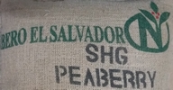 Sac de café vert Salvador Santa Rita Caracoli Sac de café vert Salvador Santa Rita Caracoli
