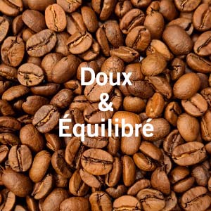 Café 100% arabica - 0% déforestation AMAZONIA