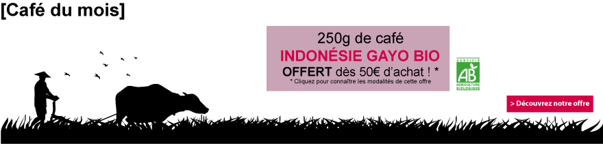 Café bio en grains Indonésie Gayo 250g Café bio en grains Indonésie Gayo 250g