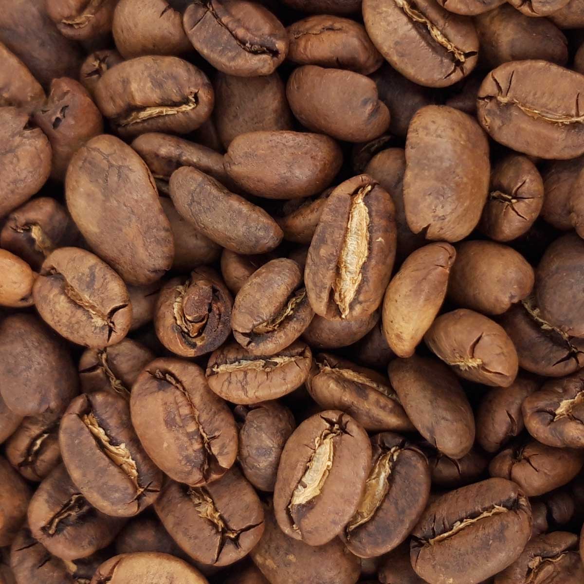 Café en grains INDONÉSIE Sumatra bio 1 kg