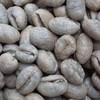 cafe arabica salvador caracoli