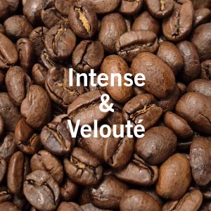 Café en grains en gros bio équitable TAQUINCO 1 kg x 5