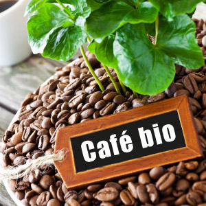 Café bio grain - Ce qu'il faut savoir sur la torréfaction et l