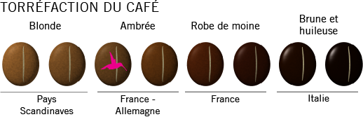 Torréfaction du café arabica Ethiopie Wallaga bio