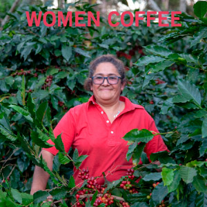 Café vert (non torréfié) Honduras bio NATURE 1 kg