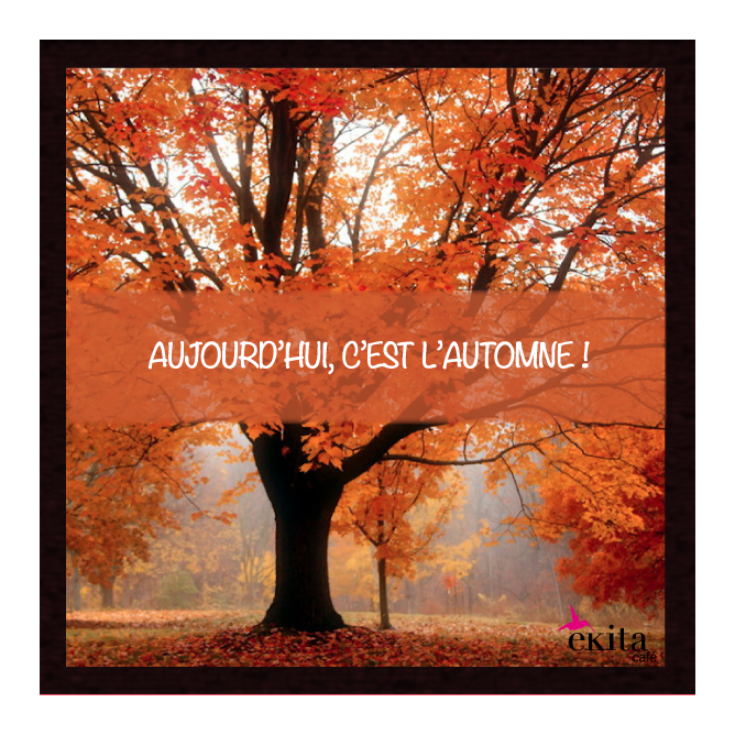 Automne, café pur arabica Australie Automne, café pur arabica Australie