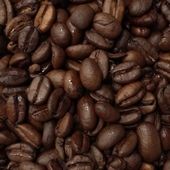 Café bio en grains Ethiopie Moka Djimmah 250g