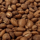 Café moulu Cuba Serrano Superior 1 kg