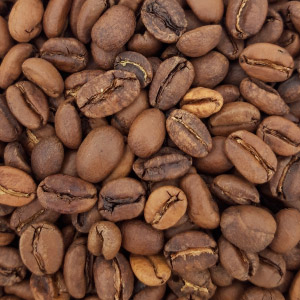 Café bio Ethiopie Moka LEKEMPTI en grains 1 kg