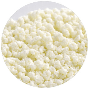 Lait instantané écrémé Regilait 500g