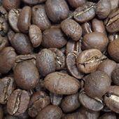 Café bio en grains Congo Kivu 1 kg