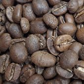 Café bio moulu Congo Kivu 250g