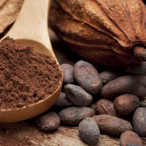 Cacao chocolat poudre