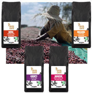 Pack d�couverte 4 caf�s arabicas natures x 250g