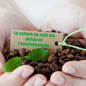 Le café bio protège l'environnement