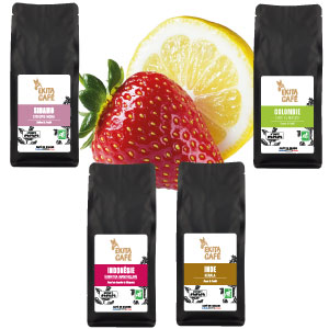Pack d�couverte 4 caf�s bio arabicas fruit�s x 250g
